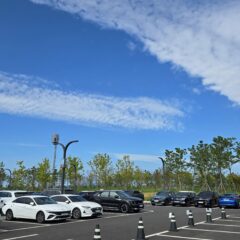 출장 연수 추천