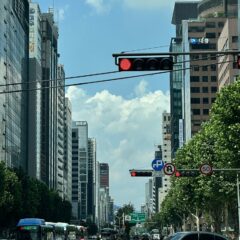 학원과 실제 도로는 너무 다릅니다