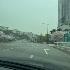 운전 시작 후 달라진 점