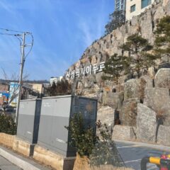 드라이브 공포 극복했어요!