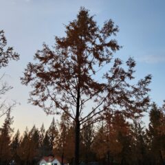 강사님의 안전 지향이 좋아요