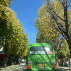 캠퍼스 통근이 좋아요