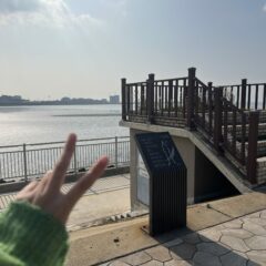 야간 운전 전조등!!