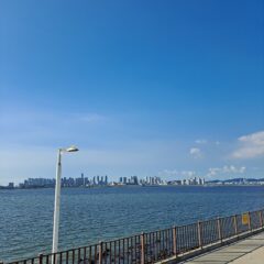 안전이 최우선인 강사님