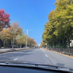 주말 연수 추천해요